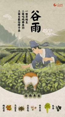 谷雨丨红紫妆林绿满池 布谷声中雨满犁