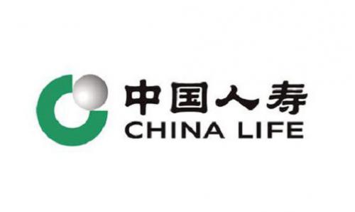 中国人寿内蒙古分公司开展2025年 国家安全教育日宣传活动